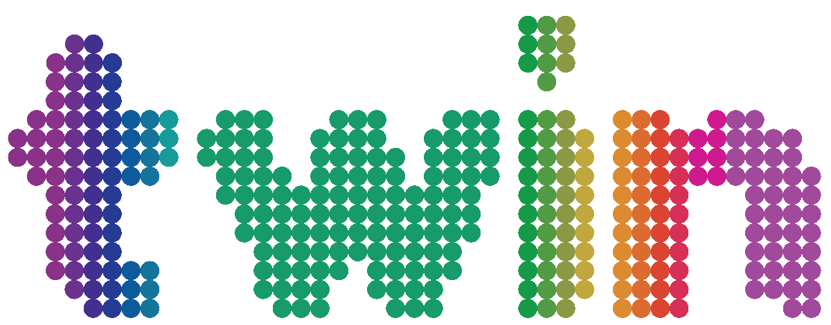 Twin Parking Solutions logo